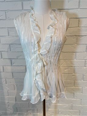 Vintage Y2K Vibes Kim Rogers Sheer Crinkle Ruffle Vest Blouse Womens L
